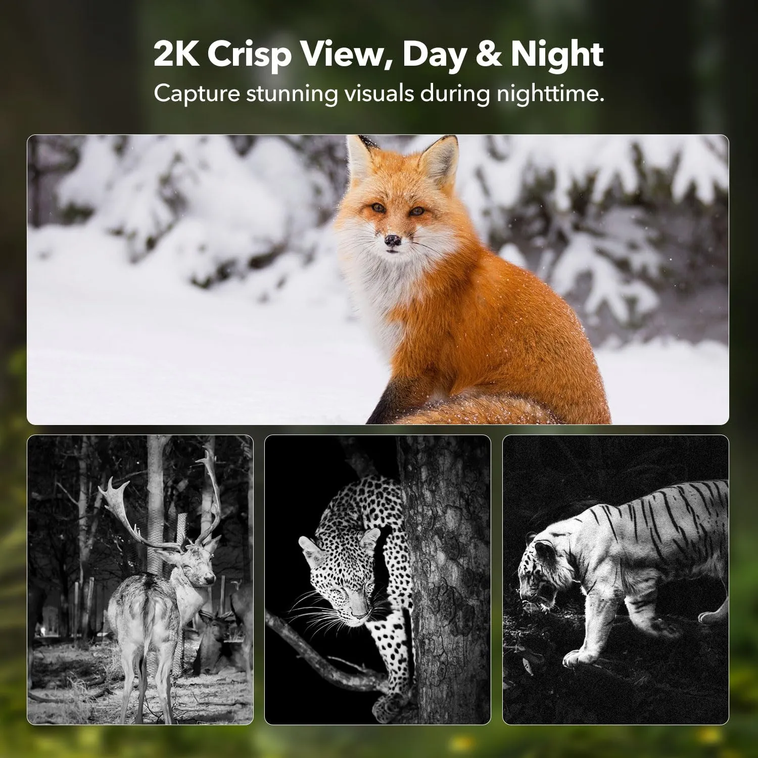 4G LTE Cellular Trail Cameras 2K 360 View Live Streaming Game Camera Built-in SIM Card with Motion Activated Color Night Vision Remote Phone Access Solar Powered Trail Camera IP65 Waterproof