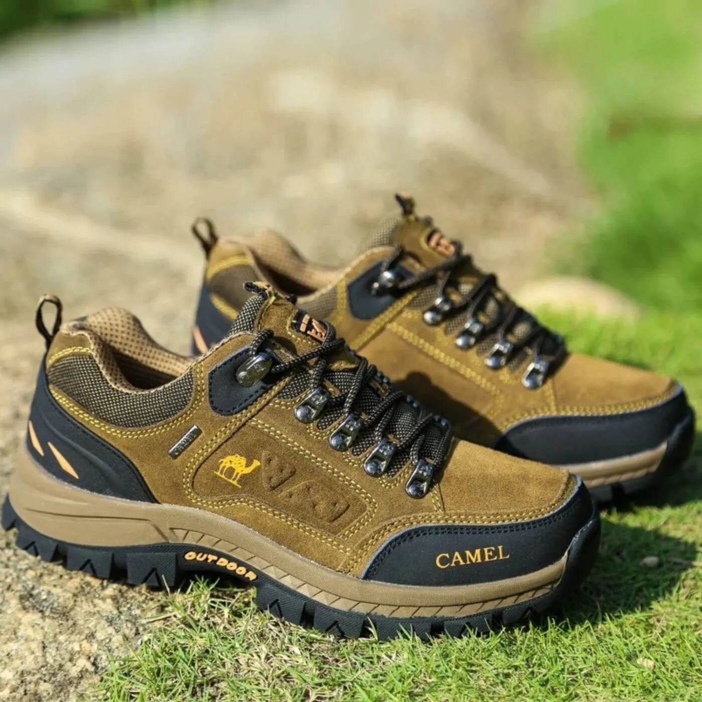 Explorer  Hiking Comfort Shoe